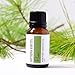 Simply Earth Pine Essential Oil 15 ml, 100% Pure Therapeutic Grade