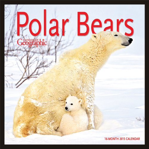 Polar Bears (Can Geo) 2015 Square 12x12 Wyman