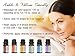 100% PURE Undiluted Essential Oils Set - Top 6 Blends
