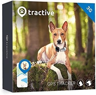 pet city dog tracker