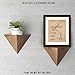 Vintage Star X Wing Vessels Patent Print, 1 (11x14) Unframed Photos, Wall Art Decor Gift for Home Office Gears Garage School Science Student Teacher Coach ComicCon SciFi Space Wars Movies Fans