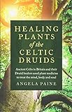 Healing Plants of the Celtic Druids: Ancient Celts in Britain and their Druid Healers Used Plant Med by Angela Paine
