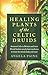 Healing Plants of the Celtic Druids: Ancient Celts in Britain and their Druid Healers Used Plant Med by Angela Paine