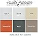 Speedball Premier Sanded Pastel Paper, 9 x 12, Colors May Vary