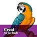 F.M. Brown's Tropical Carnival Natural Mixed Coated Peanuts for Medium to Large Parrots, Cockatoos, and Macaws, 3.5-oz Bag - Training Treat with Natural Antioxidants from Berries and Veggies