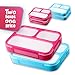 Bento Lunchboxes - 2 Pack - Lunch Containers with 3 Compartments - Great for Kids or Adults - Microwave, Dishwasher and Freezer Safe - Premium Quality