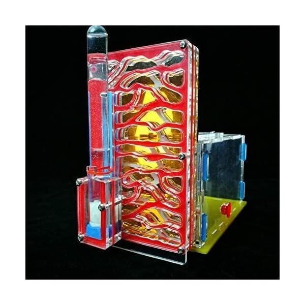 8bayfa Ant Farm Toy Formicaio R1 con Alimentazione Area Ant Farm Acrilico Insetti Gabbie Villa Pet Mania for Casa…
