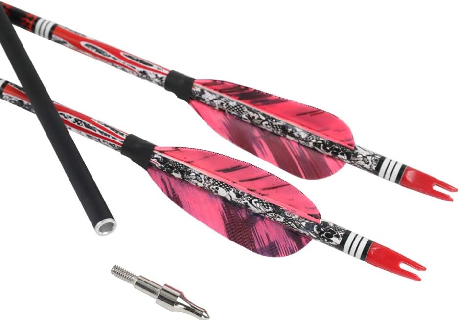 PG1ARCHERY 30 Inch Archery Targeting Arrows Carbon Practice Hunting Arrow with 3" Turkey Feathers Fletching Replacement Tips for Recurve & Compound Bow, 6 Pack Purple : Sports & Outdoors