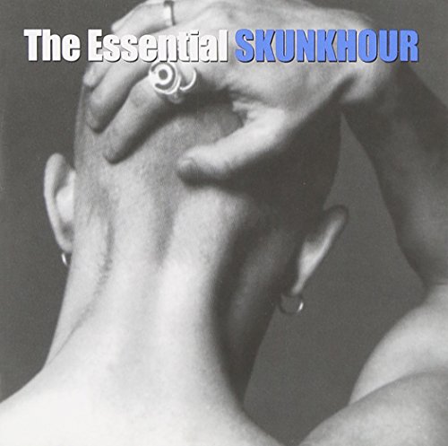 Skunkhour - V.A. 100 Hits Of The 90