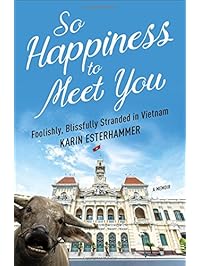 So Happiness to Meet You: Foolishly, Blissfully Stranded in Vietnam