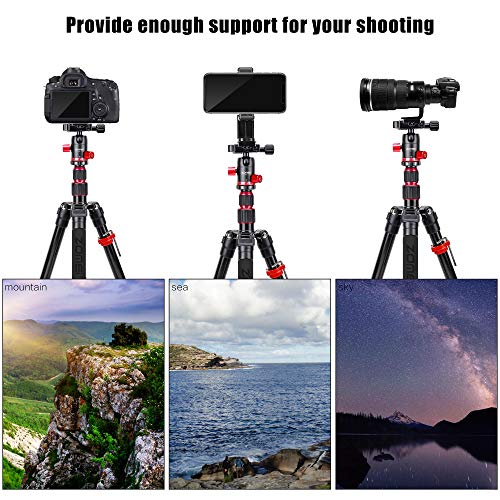 Zomei M5 Camera Tripod,Lightweight Travel Aluminum Tripod Monopod Compact Portable Photography Tripod Stand with 360 Degree Ball Head and Phone Clip for DSLR Cameras, Smartphone