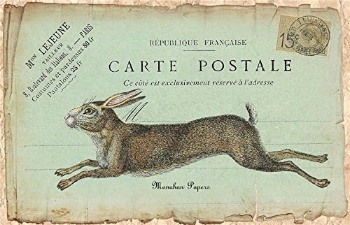 Paper Placemats Table Mats Easter Dinner Easter Decor Bunny Rabbit Pak 50 Place Mats