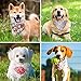 Vaburs Dog Collar and Dog Bandana, Pet Collar Fancy Dog Collar with Bandana for Small Medium and Large Dogs Adjustable(L-Black)thumb 1
