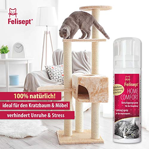Felisept Home Comfort Kalmerende Spray 100ml - Anti-Stress Voor Kat Op De Weg En Thuis - Met Natuurlijke Catnip… - Afbeelding 5