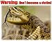 TurtleSkin Snake Gaiters, Lightweight and Waterproof, Lower Leg Gaiters for Men and Women, Durable Snake Chaps for Hunting/Hiking, Reversible – Khaki/Sage
