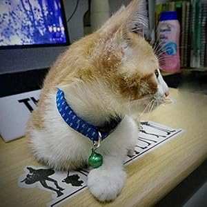 MJBABY Collare per Cani. Animali Domestici Oltre all'anello, Gatti Oltre ai collari antipulci, con Campane, zanzare a… MJBABY MJBABY Collare per Cani. Animali Domestici Oltre all'anello, Gatti Oltre ai collari antipulci, con Campane, zanzare a…