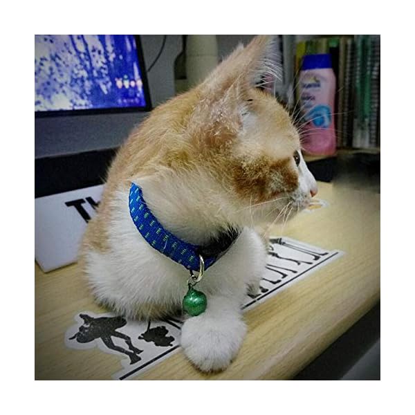 MJBABY Collare per Cani. Animali Domestici Oltre all'anello, Gatti Oltre ai collari antipulci, con Campane, zanzare a… MJBABY MJBABY Collare per Cani. Animali Domestici Oltre all'anello, Gatti Oltre ai collari antipulci, con Campane, zanzare a…