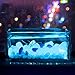 ASIBT 500 Pcs Glow in The Dark Stones,Garden Pebbles Rocks for Outdoor, Walkway, Window, Yard Grass, and Fish Tank Decoration（Blue）