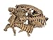 Geoworld Prehistoric Icebergs Glyptodon Skeleton Assembly Set