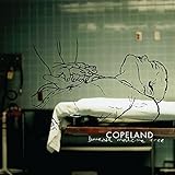 Beneath Medicine Tree