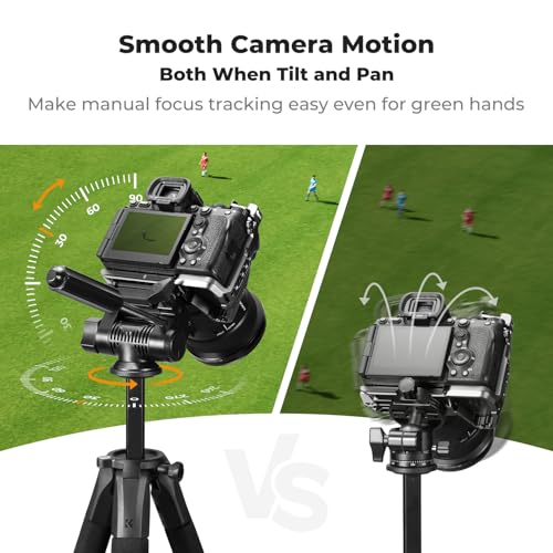 K&F CONCEPT 75" Lightweight Tripod, Camera Compact Tripod with Remote and 2-in-1 Phone Holder,Travel Phone Tripod with Removable 3-Way Pan Head for Selfie/Video Recording/Photo/Live Stream/Vlog