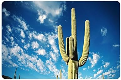 Desert Cactus Doormat Entrance Mat Floor Mat Rug Indoor/Outdoor/Front Door/Bathroom Mats Rubber Non Slip Size 23.6 x 15.7 inches