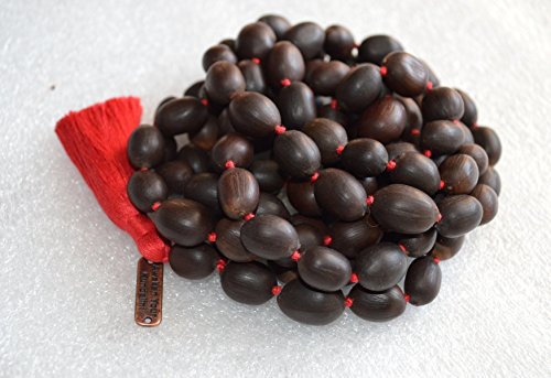 Kamalgatta Kamal gatta Lotus seed Lotus mala beads necklace 108+1 Buddhist Tibetan Mantra beads | Laksmi puja | Prayer beads | Japa Mala necklace | Chakra mala | Rosary pouch | US Seller