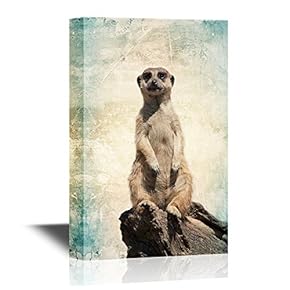 Wild Animal Canvas Wall Art - A Meerkat Sitting on a Rock - Gallery Wrap Modern Home Art | Ready to Hang - 12x18 inches