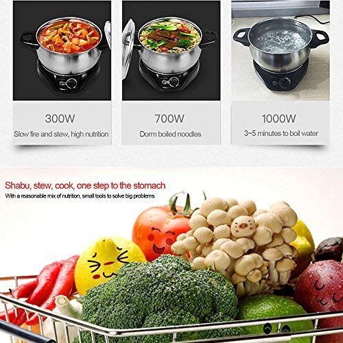 3 LIVEN+Electric+Stainless+Steel+DHG+200F