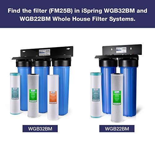 iSpring Whole House Water Filter Cartridge, Iron & Manganese Reducing