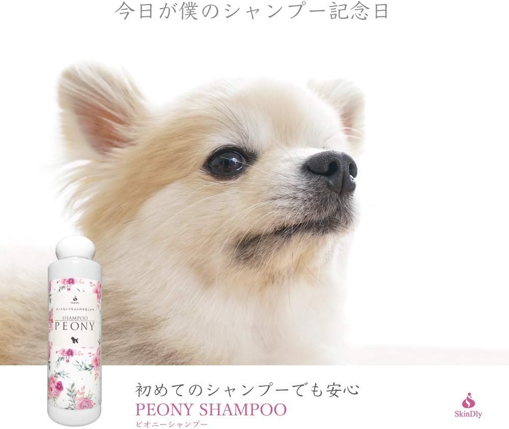 最悪 阻害する 階 シャンピー 犬 Simplesougi Com