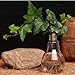 Stand Light Bulb Shape Glass Vase Flower Plant Container Pot Home Garden Decoration