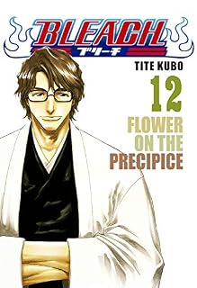 Livro Bleach vol. 12