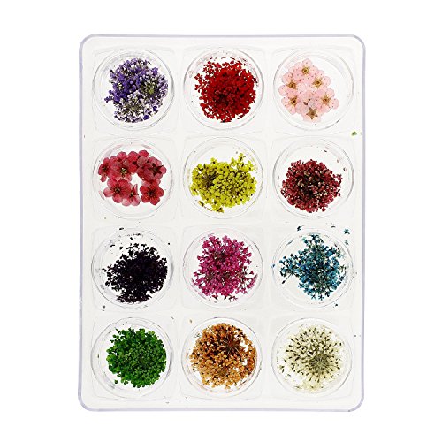 MASH Nail Art Real Dried Flower Kit Set