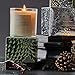 Soap & Paper Factory Roland Pine 9.5 oz Large Soy Candle