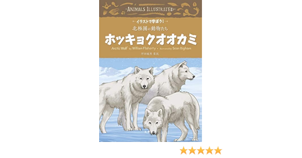 ホッキョクオオカミ イラストで学ぼう 北極圏の動物たち Amazon Com Books