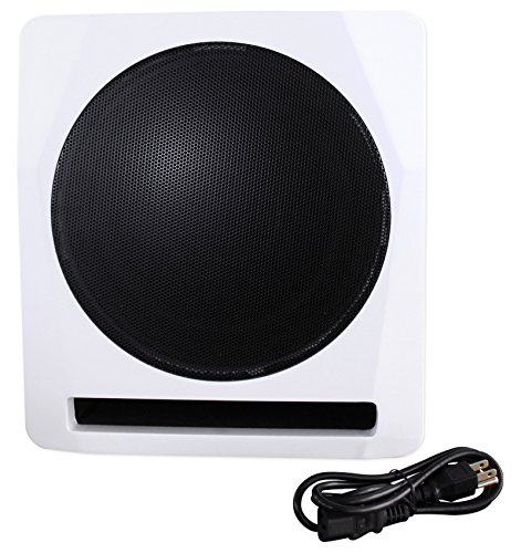 1 Rockville+APM10W+Powered+Subwoofer+Reference