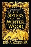 The Sisters of the Winter Wood by Rena Rossner