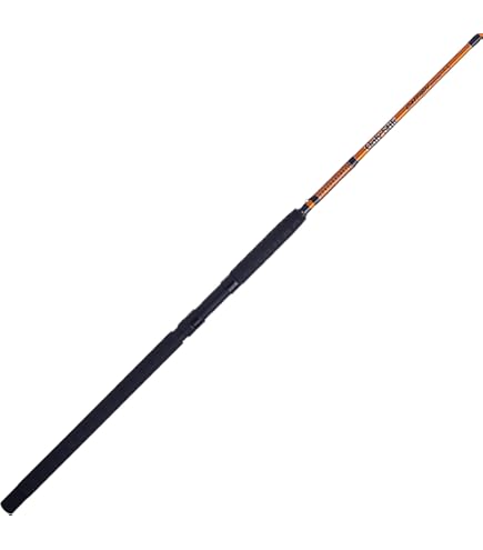 Amazon.com : Atlas XH Catfish Rod : Sports & Outdoors