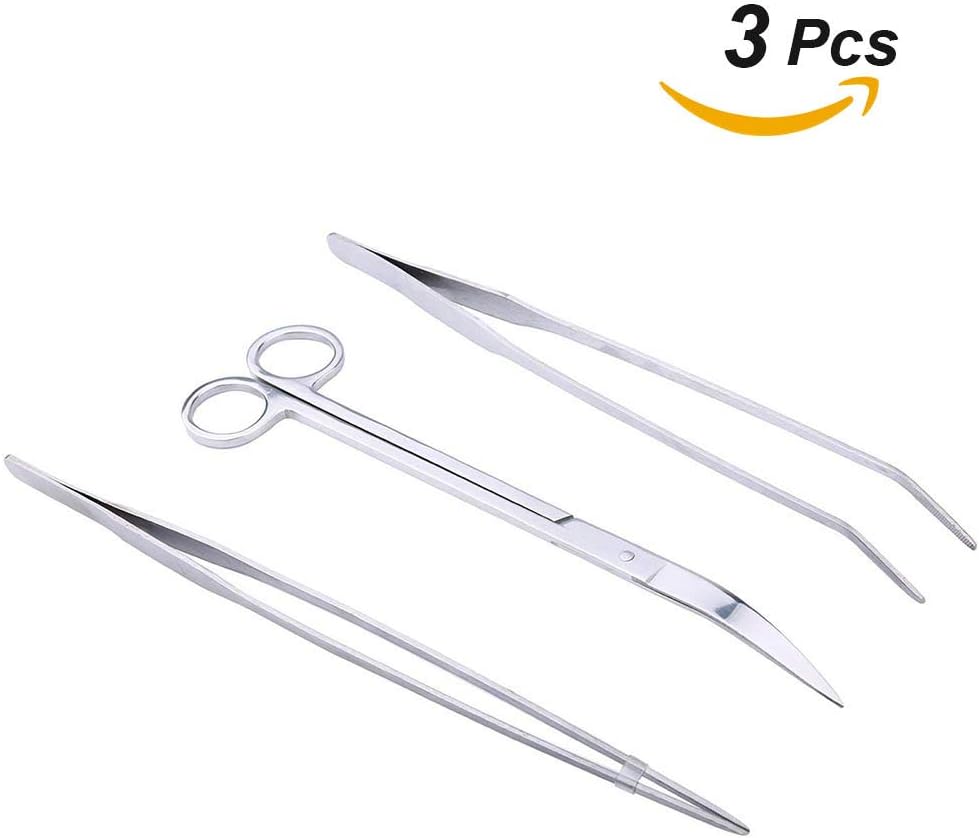 QZY 3 Pieces 304 Stainless Steel Precision Tongs tweezer for Cooking carving Medical Beauty