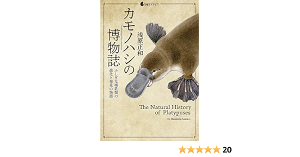 カモノハシの博物誌 ふしぎな哺乳類の進化と発見の物語 生物ミステリー Amazon Com Books