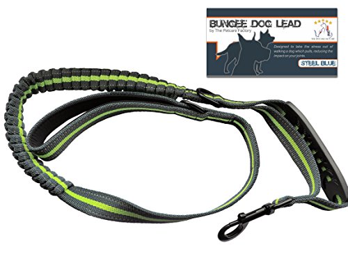 The Petcare Factory Premium Bungee Dog Lead Dual Handled Bungee Shock Absorbing Lead - Tough Waterproof Nylon Webbing - Dual Handles for Normal & Close Control (Steel Blue with Lime Green Stripe)