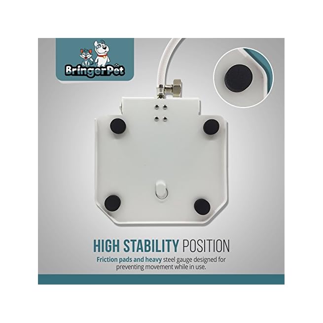 paw activated water fountain