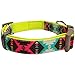 Blueberry Pet 2 Colors Soft & Comfy Southwestern Vintage Tribal Print Padded Adjustable Dog Collar, Extravagant Green, Medium, Neck 14.5