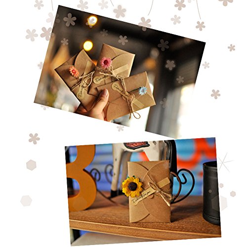 HANSGO Gift Card Envelopes, 100PCS 4 x 2.8 inch Cute Envelopes Small Gift Card Holders Mini Seed Envelopes with Heart Shaped Clasp