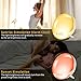 Wake Up Light Alarm Clock, GEEMAK Sunrise & Sunset Simulation 7 Colored Sleep Aid Light with FM Radio, 2 Alarms /7 Natural Alarm Sounds/Snooze/20 Brightness