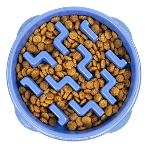 Outward Hound Fun Feeder Slo Bowl