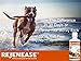 Premium Liquid Glucosamine Hip and Joint Supplement for Dogs - Fast Natural Arthritis Pain Relief and Better Mobility - Extra Strength with Chondroitin MSM and Hyaluronic Acid. Made in USA 32oz. Results in 30 Days or Your