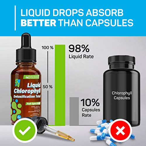 Liquid Chlorophyll for Total Detox MAX Absorption Pure Vegan