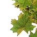 300 Assorted Mixed Fall Colored Artificial Maple Leaves for Weddings, Events and Decorating